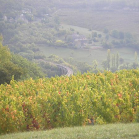 Maison Isolee Dans Les Vignes Et Les Bois Valady Exterior photo